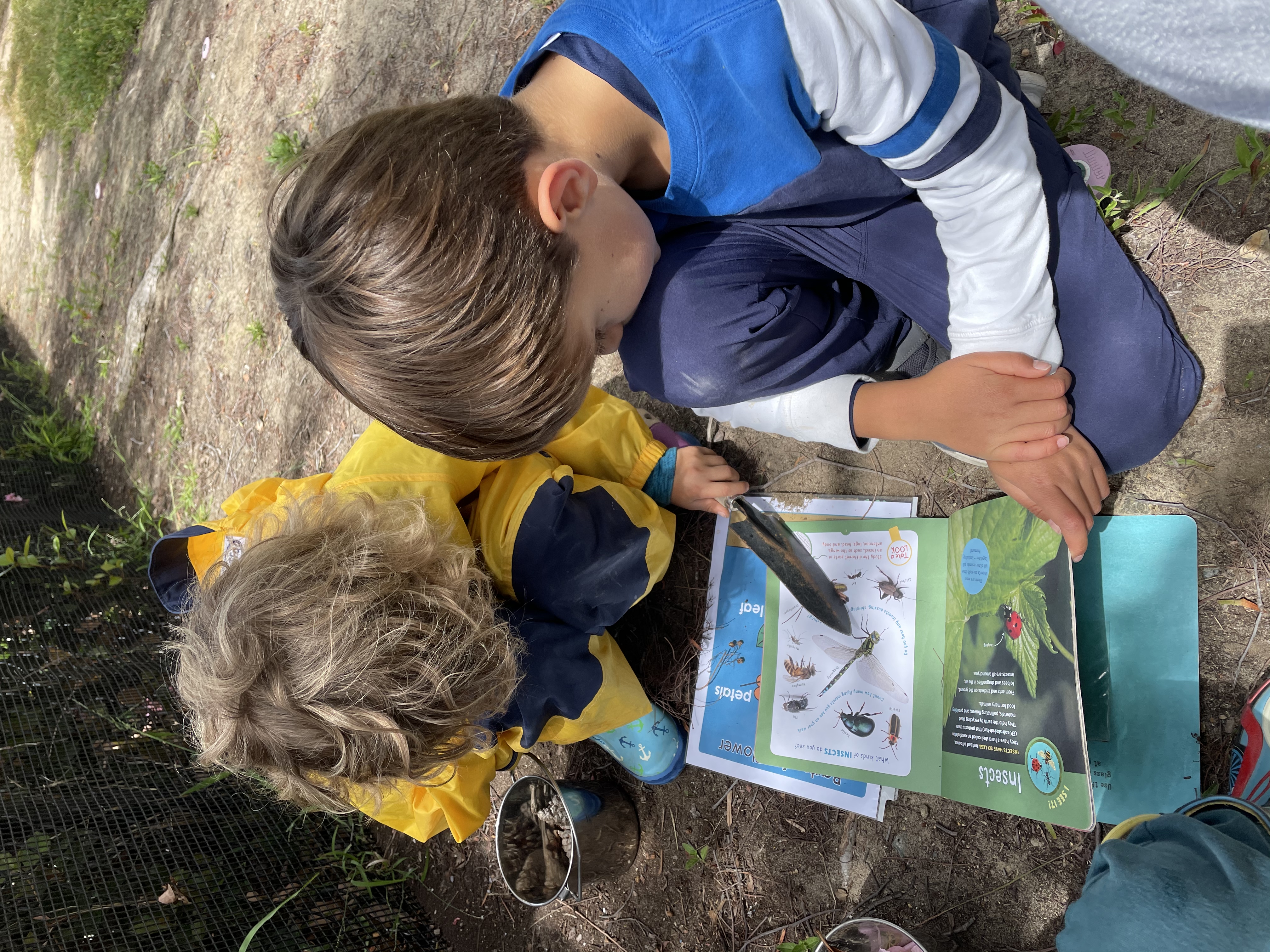 Two boys engaged in a wild math lesson in Nature Scouts Collective.