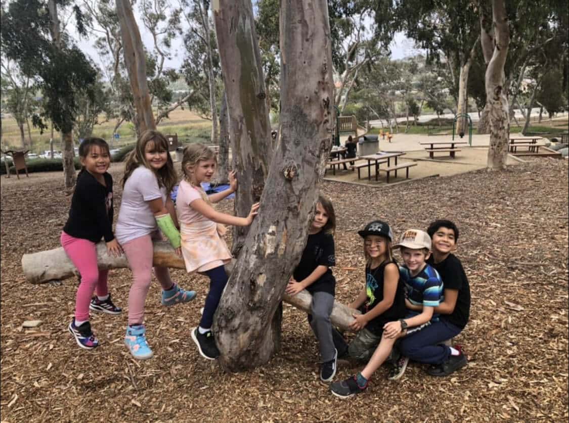 Nature Scouts Collective | Camp Registration