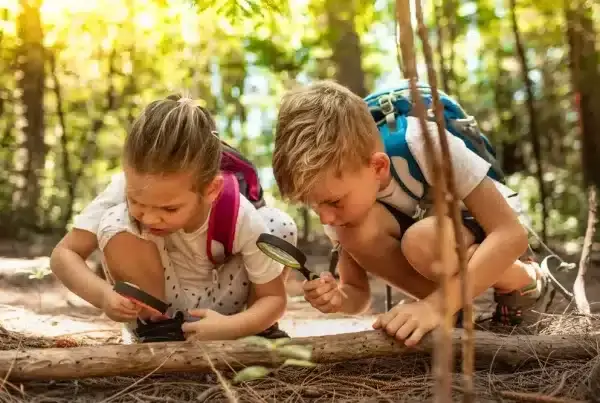 Two young children crouch in a sunlit forest, using magnifying glasses to examine a log on the forest floor—immersed in nature and curiosity.
