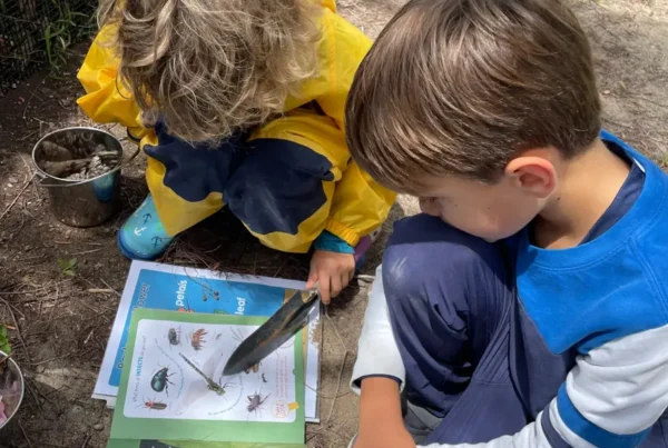 Children engaged in outdoor learning examining insects with a field guide during a nature-based education activity