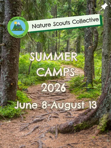 Nature Scouts Collective Summer Camps 2026 promotional graphic featuring a forest trail with text announcing summer camps running June 8 through August 13.