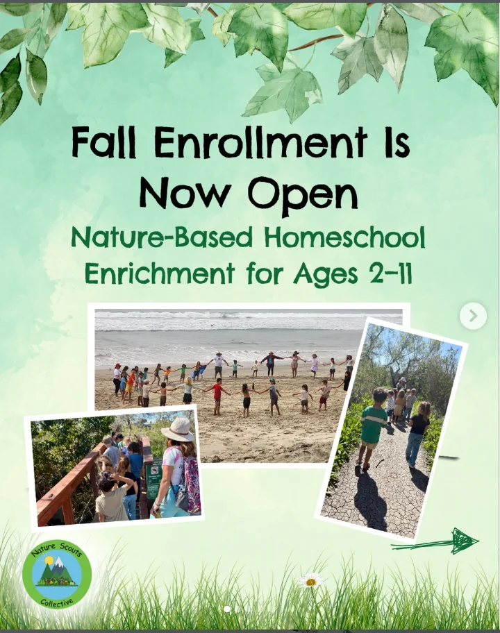 Fall enrollment now open for Nature Scouts Collective nature-based homeschool enrichment program for children ages 2–11 in North County San Diego.