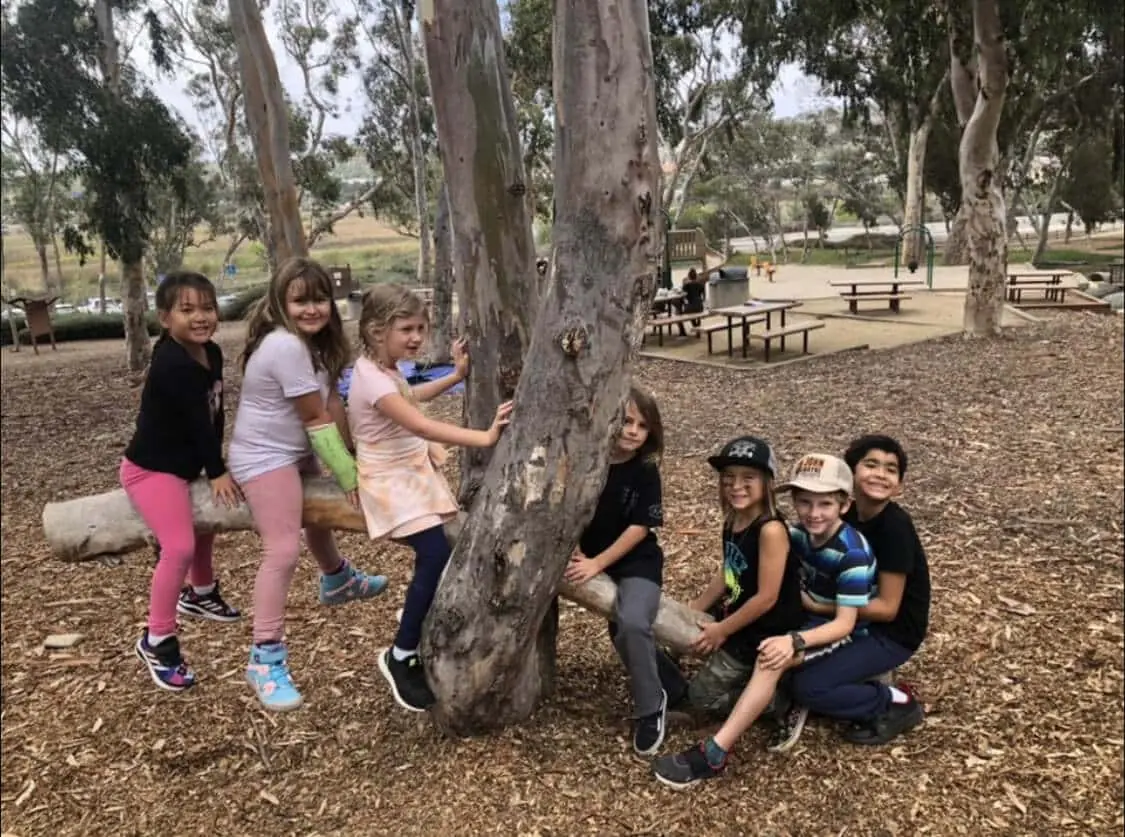 Children gathering around trees during a Nature Scouts Collective outdoor nature camp in North County San Diego.
