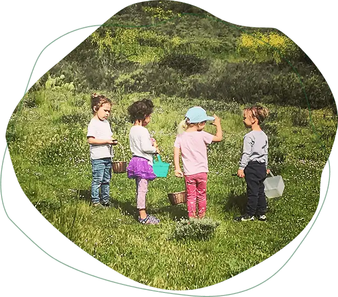 Children exploring a grassy meadow during Nature Scouts Collective outdoor nature classes in North County San Diego.