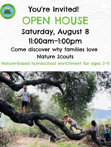 Nature Scouts Collective | Home Nature Scouts Collective open house invitation featuring children climbing a large tree during outdoor enrichment