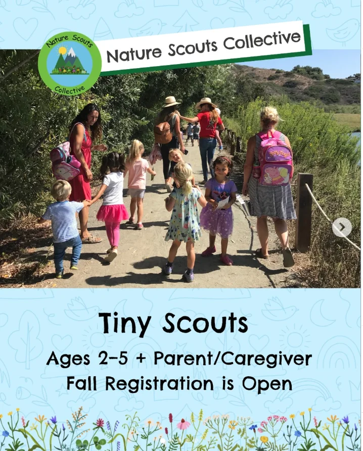 Nature Scouts Collective | Home Nature Scouts Collective open house invitation featuring children climbing a large tree during outdoor enrichment