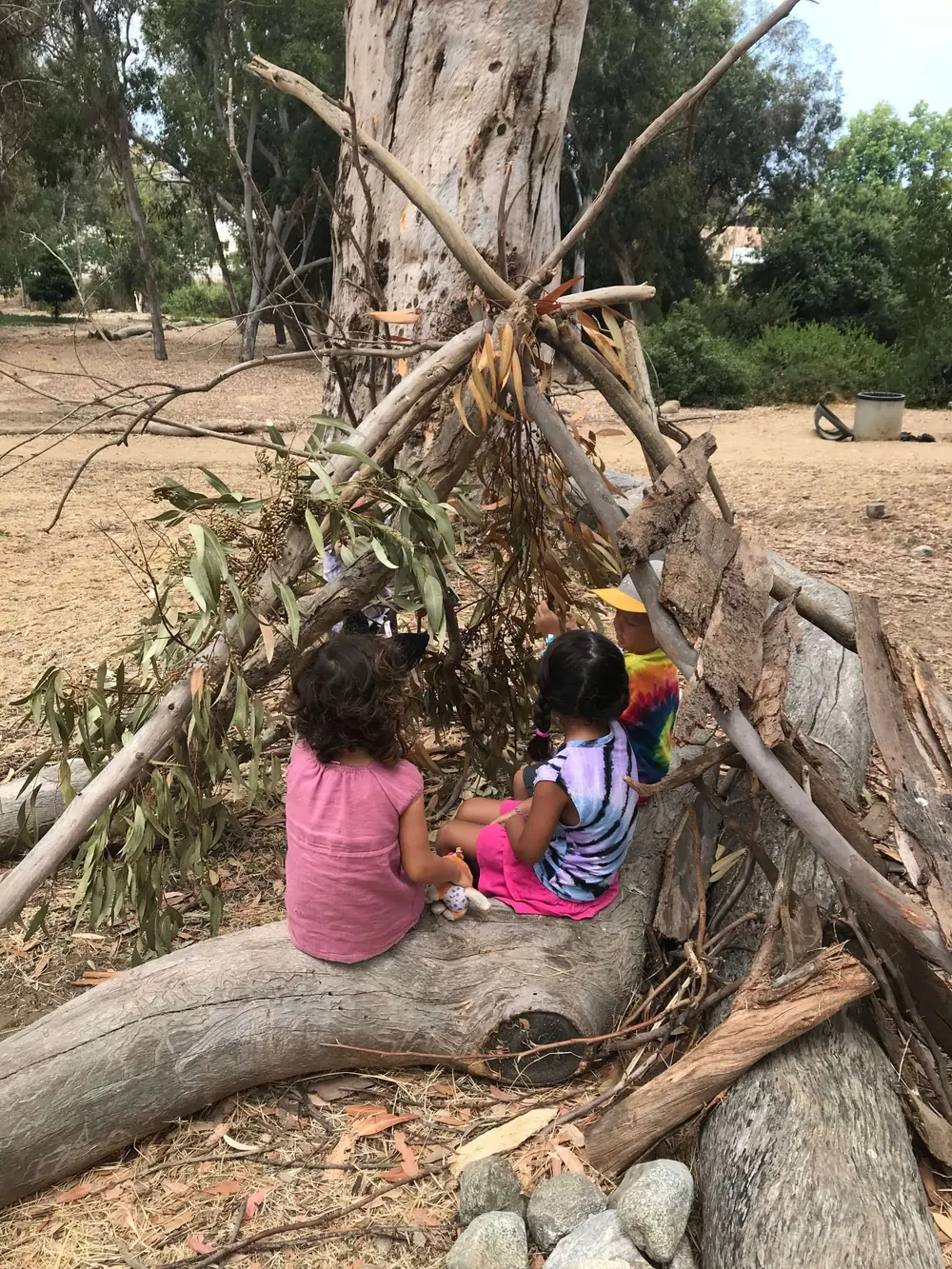 nature-based-learning-children-building-shelter-blog Children build a branch shelter during nature-based learning in North County San Diego.