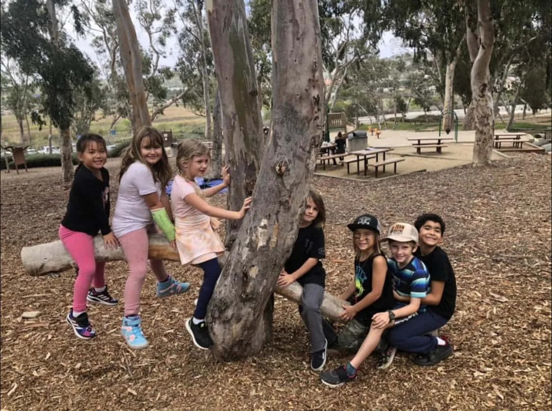 Children from Nature Scouts Collective gather and play around a tree during an outdoor learning activity in a wooded park.