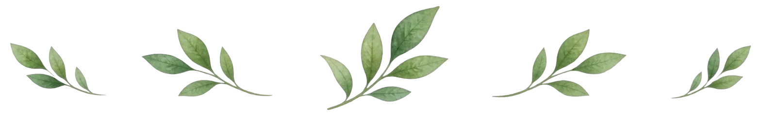 Decorative green leaf divider
